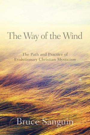 Cover of the book The Way of the Wind by None Grace Dola Balogun None, None Lisa Hainline None