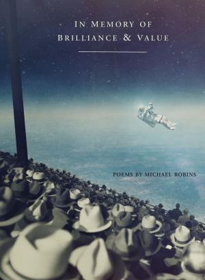 Cover of the book In Memory of Brilliance & Value by Sarah Vap