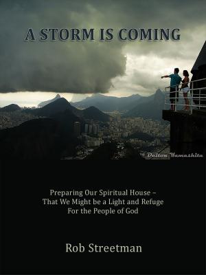 Cover of the book A Storm is Coming by Patrick Oben