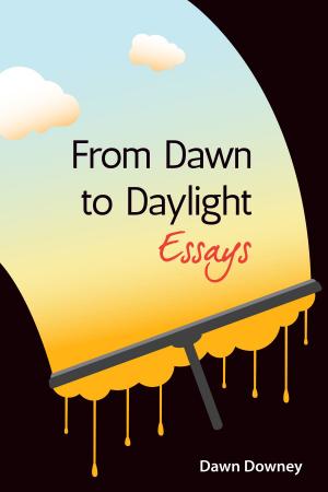 Book cover of From Dawn to Daylight