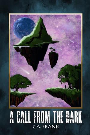 Cover of the book A Call From The Dark by Blair Smith