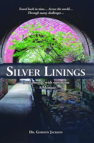 Cover of the book Silver Linings by Sue Allan