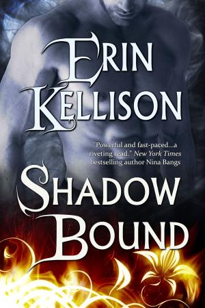 Cover of the book Shadow Bound by David J Taylor