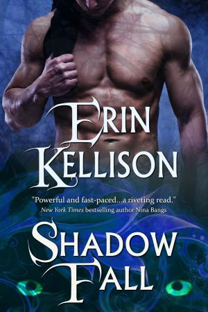 bigCover of the book Shadow Fall by 