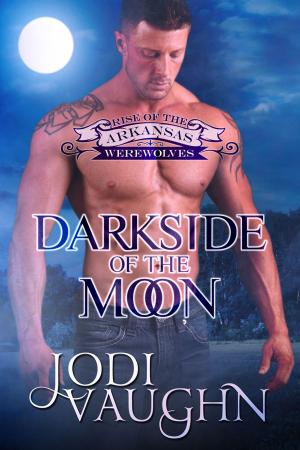 Cover of the book DARKSIDE OF THE MOON by Jodi Vaughn