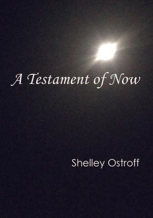 Cover of the book A Testament of Now by Trinity R. Westfield