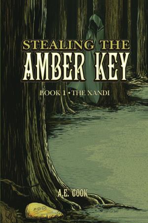 Book cover of Stealing the Amber Key