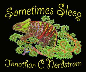 Cover of the book Sometimes Sleep by Bill Dickson