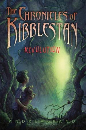 Book cover of Revolution