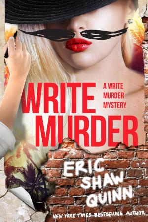 Cover of the book Write Murder by Amber Foxx