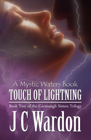 Cover of the book Touch of Lightning by L.E. Harrison