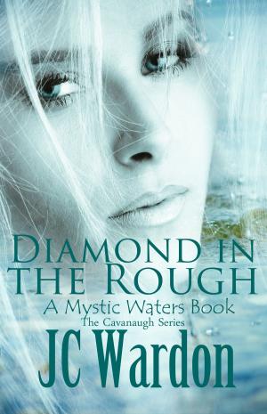 Cover of the book Diamond in the Rough by Olivia Howe