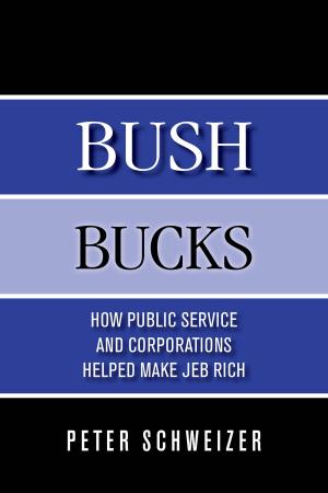 Book cover of Bush Bucks: How Public Service and Corporations Helped Make Jeb Rich