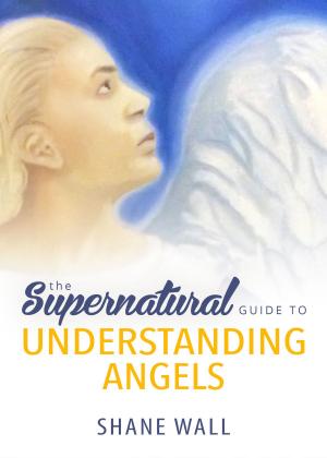 Cover of the book The Supernatural Guide to Understanding Angels by Gamman Andrew