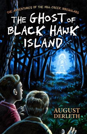 Book cover of The Ghost of Black Hawk Island