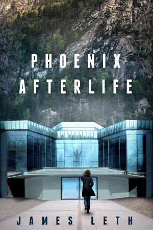 Cover of the book Phoenix Afterlife by Robert George Pottorff