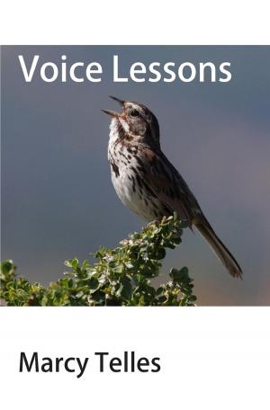 Cover of the book Voice Lessons by Candice Carty-Williams