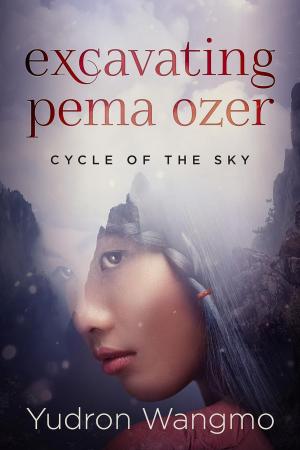 Cover of the book Excavating Pema Ozer by Dennis W. Sullivan