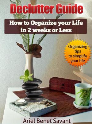 Book cover of The Declutter Guide