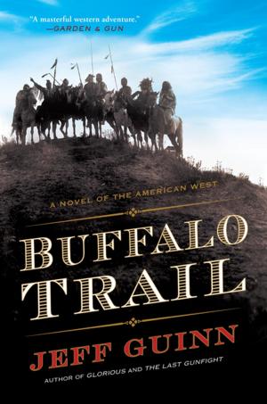 Cover of the book Buffalo Trail by Lee Child