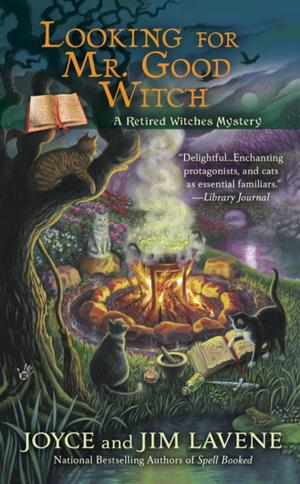 Book cover of Looking for Mr. Good Witch