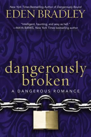 Cover of the book Dangerously Broken by Olena Rosul