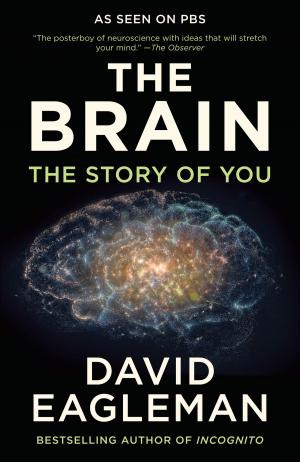 Cover of the book The Brain by Ernest Newman