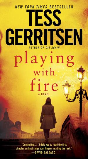 Cover of the book Playing with Fire by Jerry J. K. Rogers