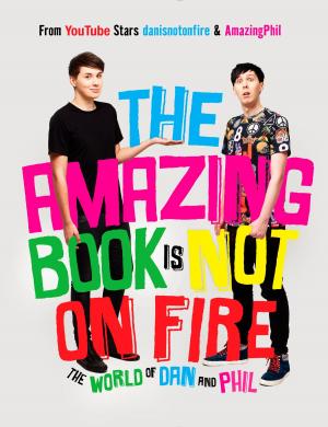 Cover of the book The Amazing Book Is Not on Fire by Catherine Banner