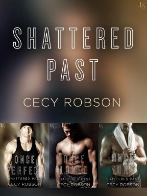 Cover of the book The Shattered Past Series 3-Book Bundle by Jameson Parker