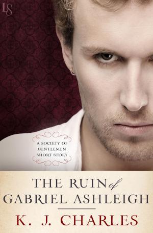 Cover of the book The Ruin of Gabriel Ashleigh by Shirley Strawberry