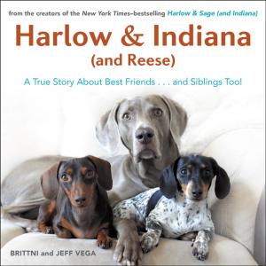 Cover of the book Harlow & Indiana (and Reese) by Geoffrey Johnson