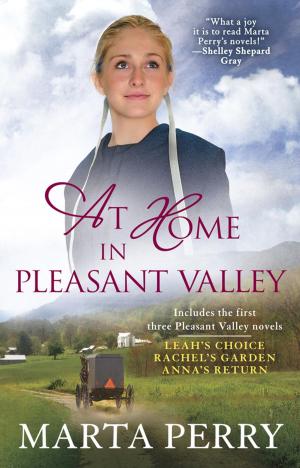 Cover of the book At Home in Pleasant Valley by Robert B. Parker