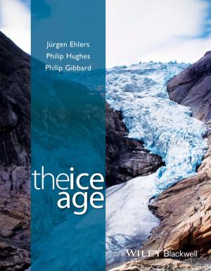 Cover of the book The Ice Age by Chris Franchetti Michaels