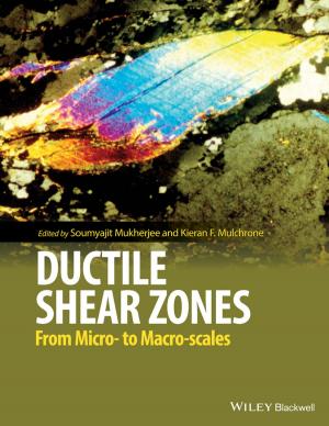 Cover of the book Ductile Shear Zones by Michael Alexander