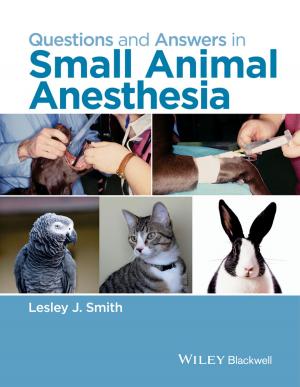 Cover of the book Questions and Answers in Small Animal Anesthesia by Robert B. Fisher, Toby P. Breckon, Kenneth Dawson-Howe, Andrew Fitzgibbon, Craig Robertson, Emanuele Trucco, Christopher K. I. Williams