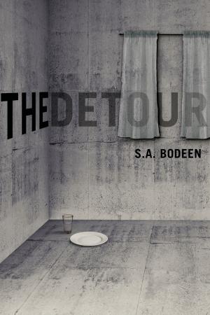 bigCover of the book The Detour by 