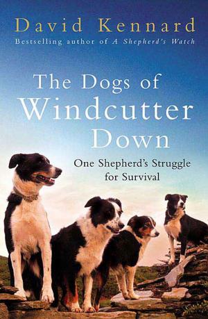 Cover of the book The Dogs of Windcutter Down by Bonnie Runyan McCullough, Susan Walker Monson