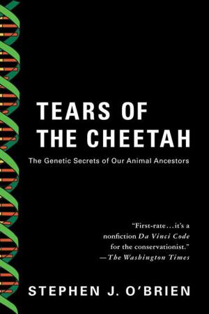Cover of the book Tears of the Cheetah by Ken Bruen