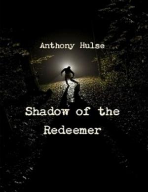 Cover of the book Shadow of the Redeemer by Kimberly Vogel