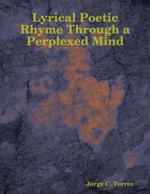 Book cover of Lyrical Poetic Rhyme Through a Perplexed Mind