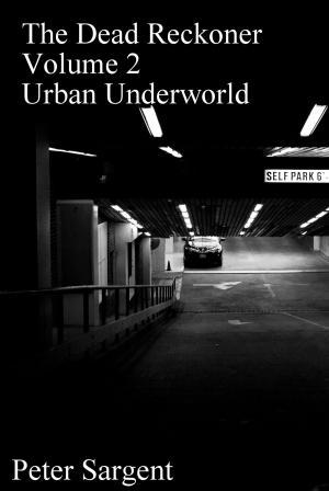 Cover of the book The Dead Reckoner: Volume Two: Urban Underworld by Leah Cypess