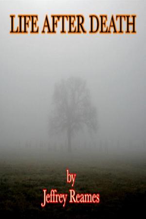 Cover of the book Life After Death by Nicholas John