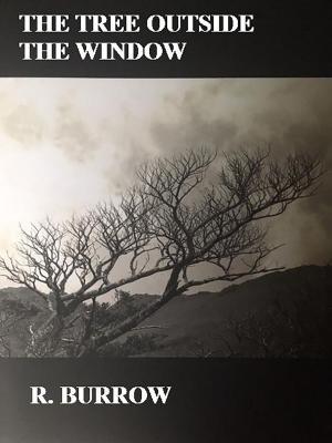 Cover of the book The Tree Outside The Window by James P Manning, Nicola L Ridgeway