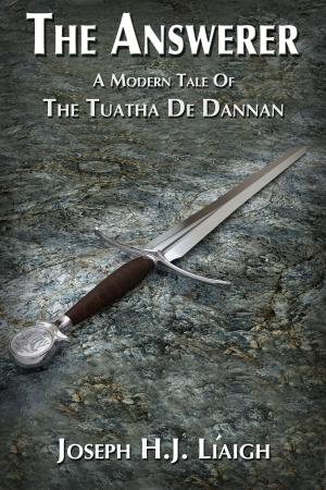 Book cover of The Answerer: A Modern Tale Of The Tuatha De Dannan
