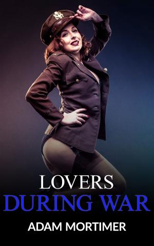 Book cover of Lovers During War