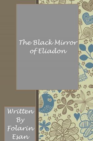 Cover of the book The Black Mirror of Eliadon by P.T. Phronk