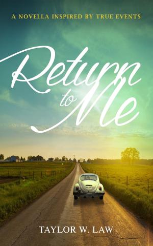 Cover of the book Return to Me: Inspired by True Events by David Washington