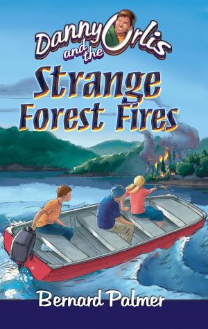 Cover of the book Danny Orlis and the Strange Forest Fires by Bernard Palmer