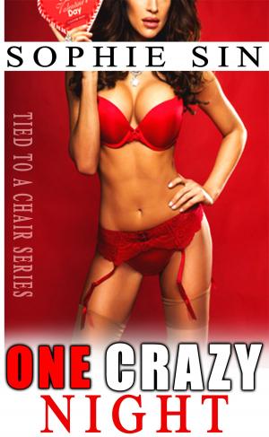 bigCover of the book One Crazy Night (Tied To A Chair Series) by 